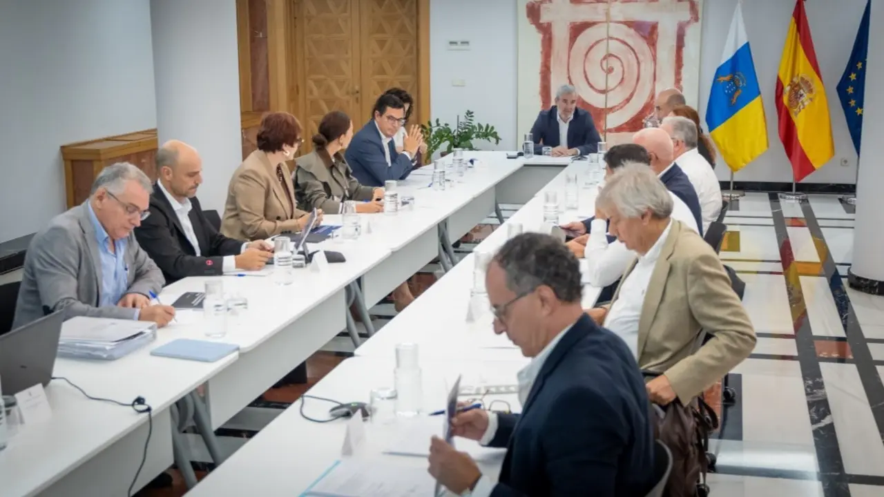 Consejo Asesor del Gobierno de Canarias.