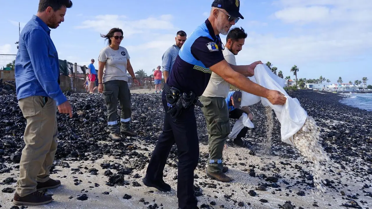 Momento de la devoluci&oacute;n de rodolitos a las playas de Corralejo (4)