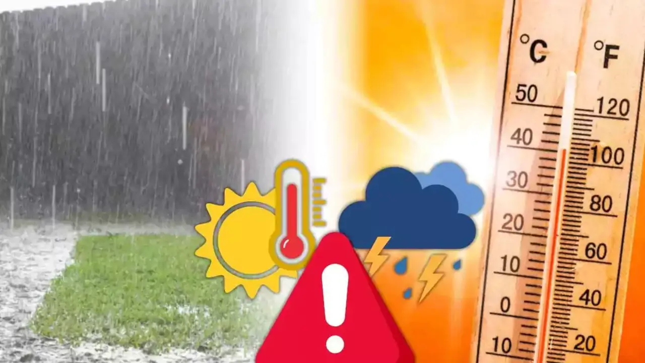 Imagen de activaci&oacute;n de alerta de Puerto del Rosario.