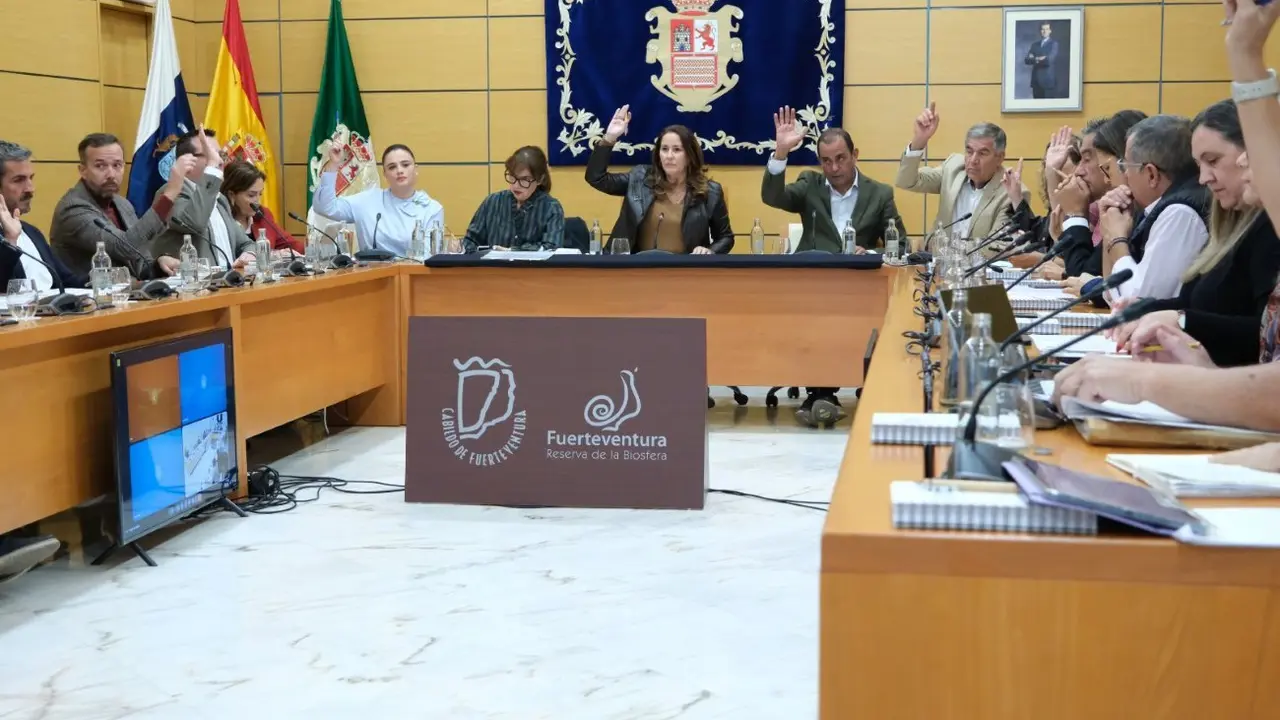 El pleno del Cabildo renueva el convenio de Dependencia