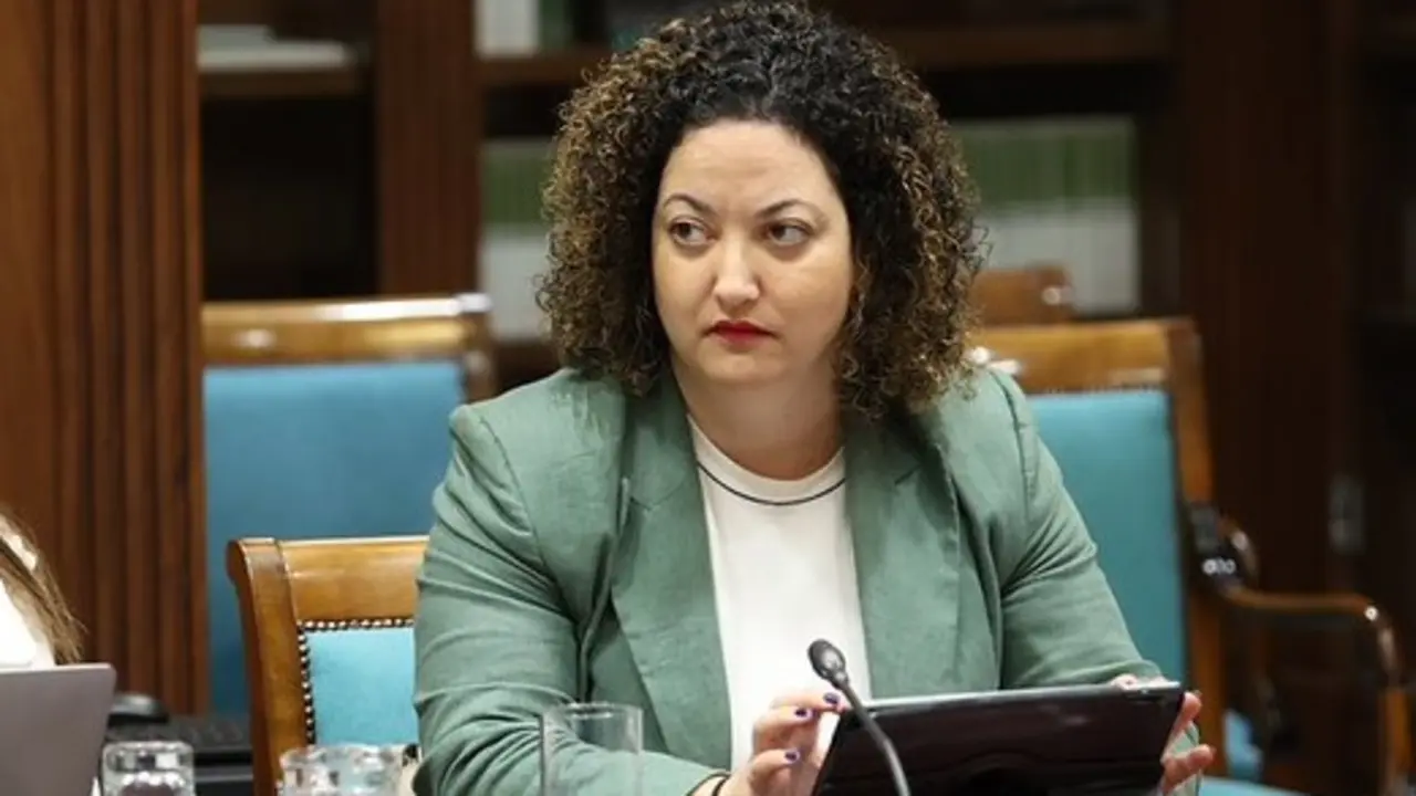 Jana Gonz&aacute;lez, en la Comisi&oacute;n de Obras P&uacute;blicas, Transportes y Vivienda del Parlamento de Canarias.