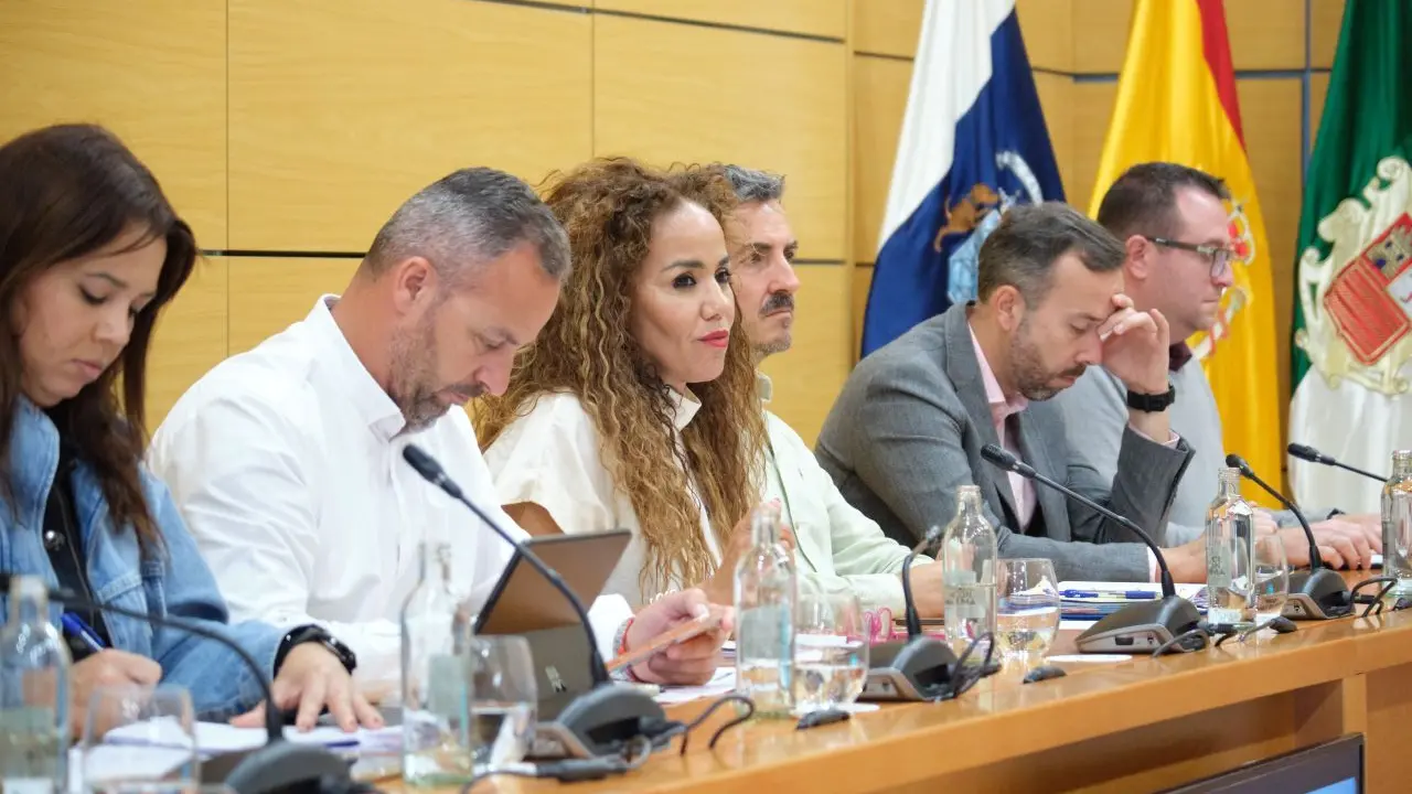 La consejera Carmen Alonso, en el pleno del Cabildo.