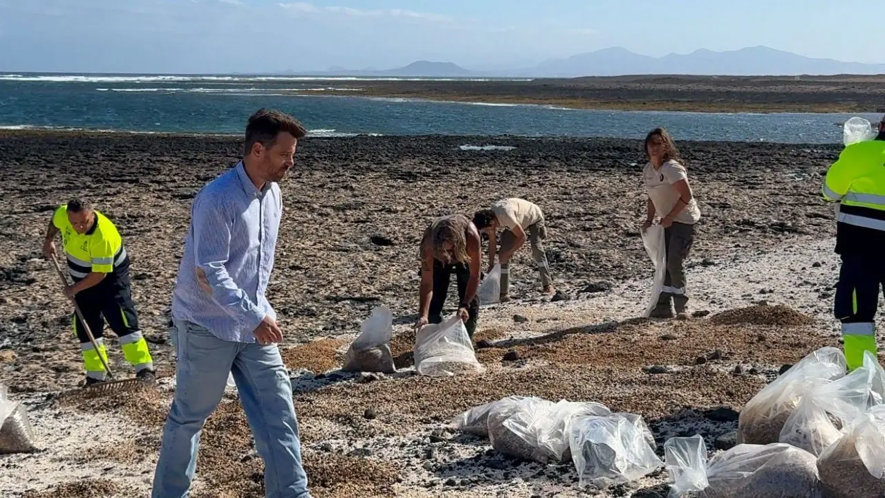 Devoluci&oacute;n de rodolitos a las playas de La Oliva.