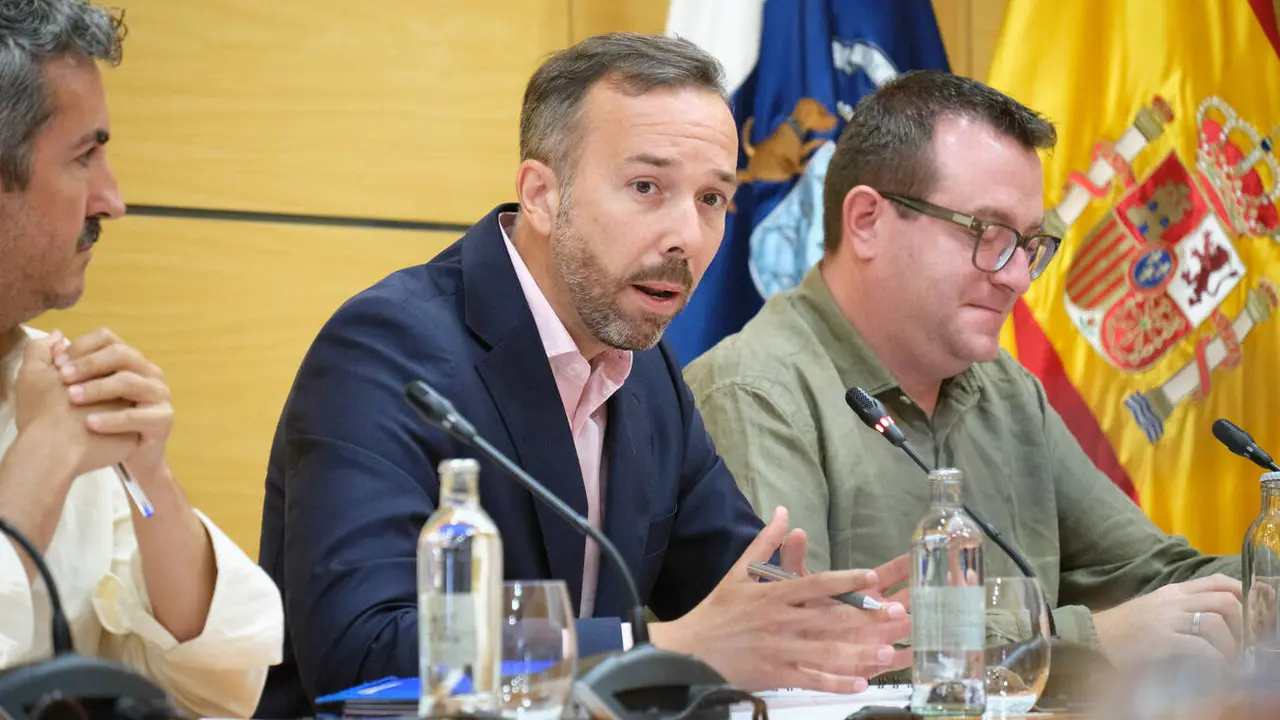 Luis Gonz&aacute;lez, en el pleno del Cabildo de mayo de 2026.