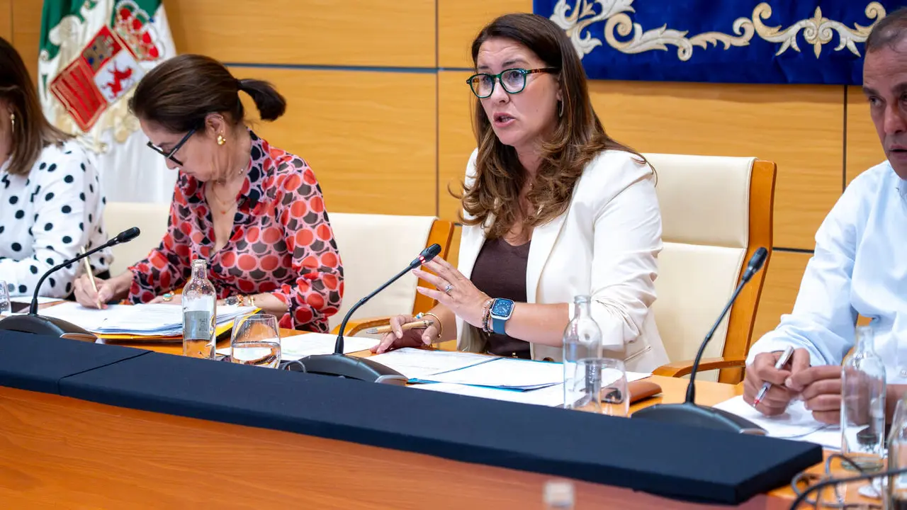 La presidenta insular, Lola Garc&iacute;a, comparece en pleno a petici&oacute;n de la oposici&oacute;n.