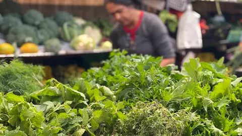 profesional en Feaga