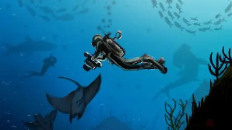 Cartel Fotosub 2024.