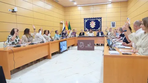 Votación en pleno de la modificación de las bases de las ayudas al estudio.