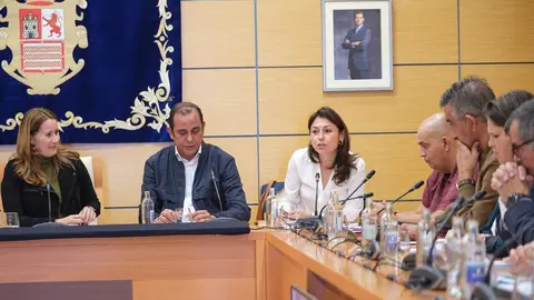 El Pleno del Cabildo aprueba el Plan Estratégico de Subvenciones en materia de energía (3)