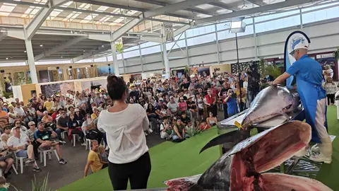 WhatsApp Image 2024-05-19 at 09.52.38