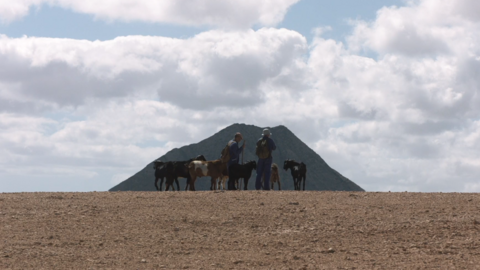 Fotograma de Rendir los Machos, película rodada en Fuerteventura (Imagen: FFC).