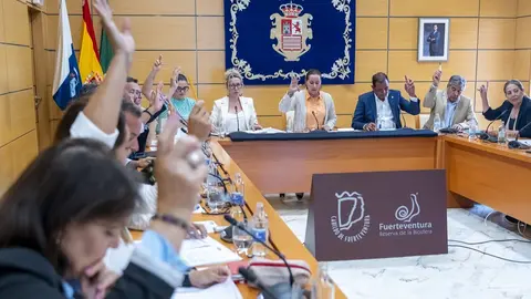 El pleno del Cabildo deniega la DII de Dreamland.