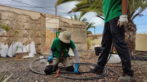 Ciclo de Jardinería del IES Gran Tarajal (Archivo FD, 2022).