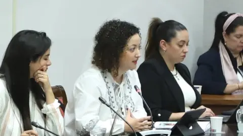 Jana González Alonso, en la comisión de Derechos Sociales del Parlamento.