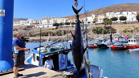 Atún Rojo capturado por un barco de pesca en Gran Tarajal (Archivo FD).