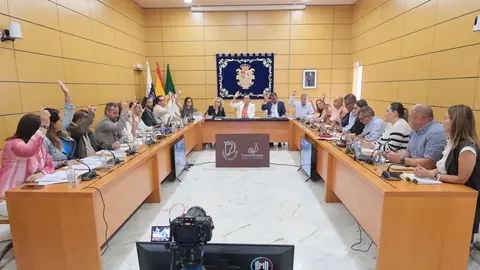 Pleno del Cabildo, en su sesión ordinaria de junio de 2024.