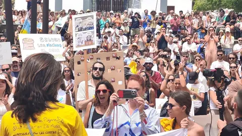 Manifestación del 20A en la capital majorera (Imagen: FD).