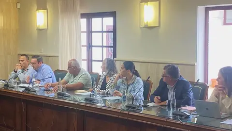 Concejales del PP de La Oliva, en pleno.