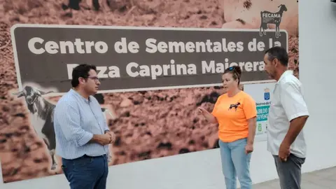Centro de sementales de la Federación Nacional de Criadores de la Raza Caprina Majorera.