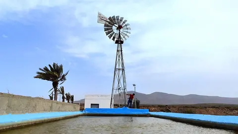 Aeromotor, o molino de Chicago, en el municipio de Antigua (Imagen: archivo FD).