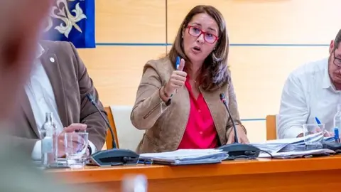 Lola García, en una imagen de archivo en pleno del Cabildo.