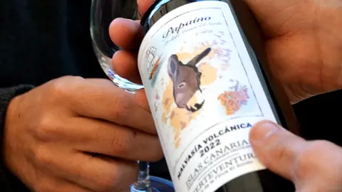Papaíno, un vino Malvasía Volcánica, Elaborado con Malvasía Volcánica cultivada en las parcelas de El Sordo, en el municipio de Puerto del Rosario.