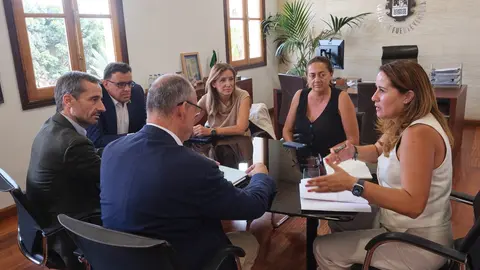 Reunión a tres bandas entre Cabildo, Red Eléctrica, y Gobierno de Canarias.