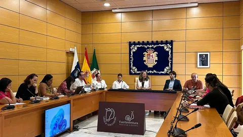 Primera sesión de la Comisión para decidir la refundación del Patronato Turismo.