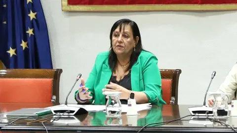 La fiscal superior de Canarias, María Farnés Martínez, en la Comisión de Gobernación del Parlamento de Canarias (Imagen del Parlamento, 10 de octubre de 2023).