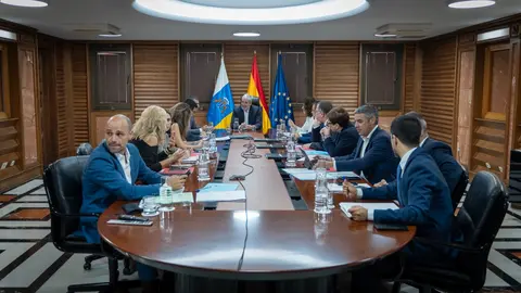 Consejo de Gobierno de Canarias, el 11 de noviembre de 2024.