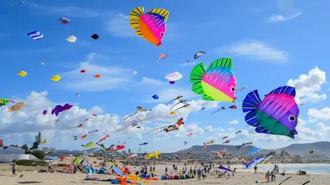 Primera jornada del 37ª Festival Internacional de Cometas (5)