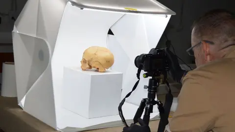 Un cráneon de los fondos aborígenes del Museo Arqueológico de Fuerteventura.