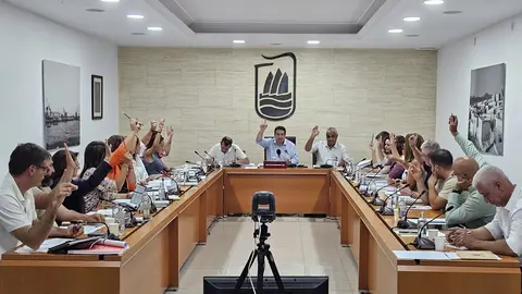Moción Institucional en el pleno de Puerto del Rosario.