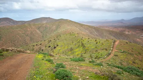 Senderos en el Parque Rural de Betancuria (Imagen de Turismo del Ayuntamiento de Betancuria).