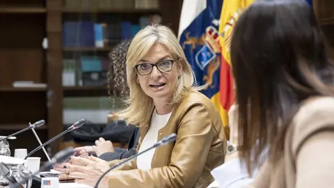 La consejera de Sanidad del Gobierno de Canarias, Esther Monzón.