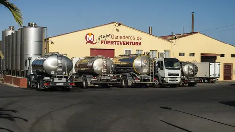 Instalaciones del  Grupo Ganaderos de Fuerteventura, en Tuineje.