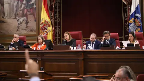 Votación de los Presupuestos de Canarias 2024, en el Parlamento de Canarias, en diciembre de 2023.