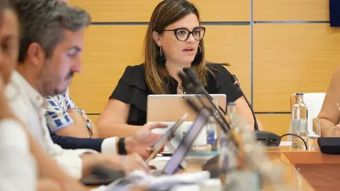 La consejera de Hacienda, y Promoción Económica del Cabildo, Nuria Cabrera.