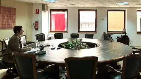 La consejera Candelaria Delgado Toledo, reunida por videoconferencia.