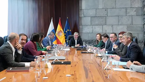 Consejo de Gobierno de Canarias, el 26 de diciembre.