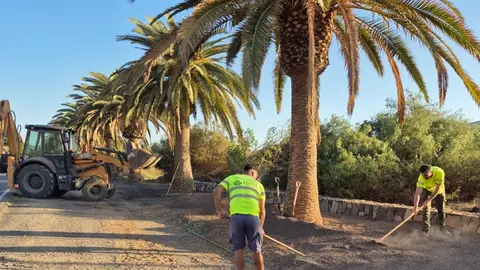 Trabajos en  Parques y Jardines de Tuineje.
