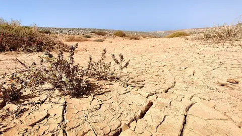 Terreno seco en Fuerteventura (©Fuerteventura Digital).
