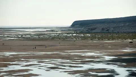 Humedal en Playa de La Barca, Sotavento, Pájara (Imagen de RBF).