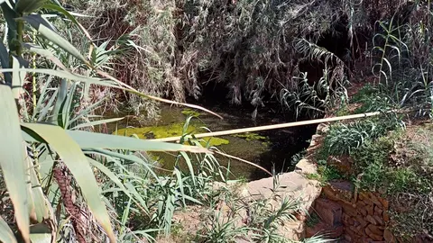 Estado de la Alberca de Betancuria en noviembre de 2022 (Imagen del Ayuntamiento de Betancuria).