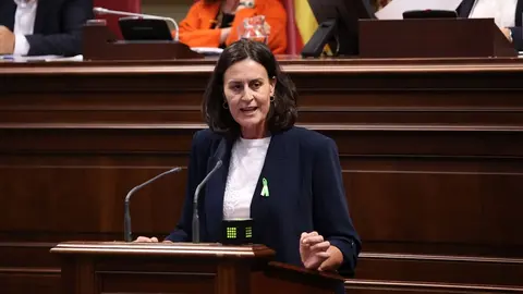 Natalia Évora, en el pleno del Parlamento de Canarias el 11 de febrero de 2025.
