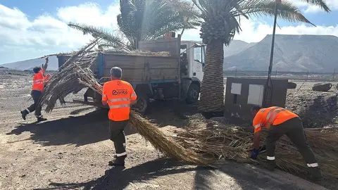 Trabajos de jardinería antes de Feaga 2025.