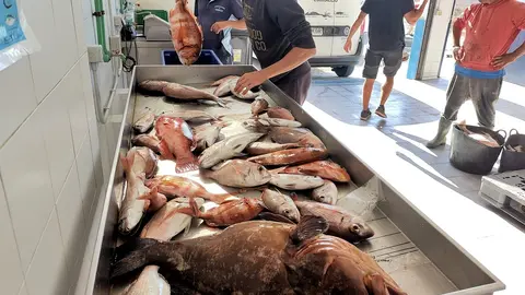 Lonja de El Cotillo. Imagen de archivo de Fuerteventura Digital.