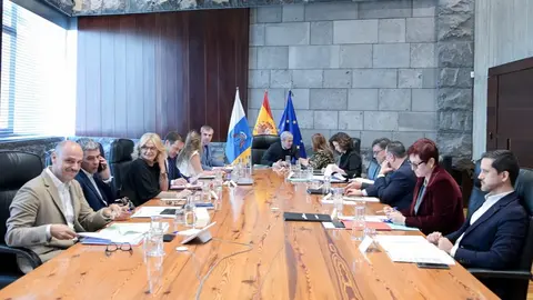 Consejo de Gobierno de Canarias, el 17 de marzo de 2025.