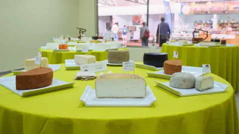 Concurso Nacional de Quesos de Leche de Cabra Tabefe en Feaga 2025.