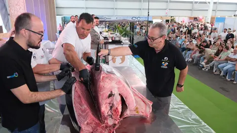 Ronqueo de atún en Feaga.